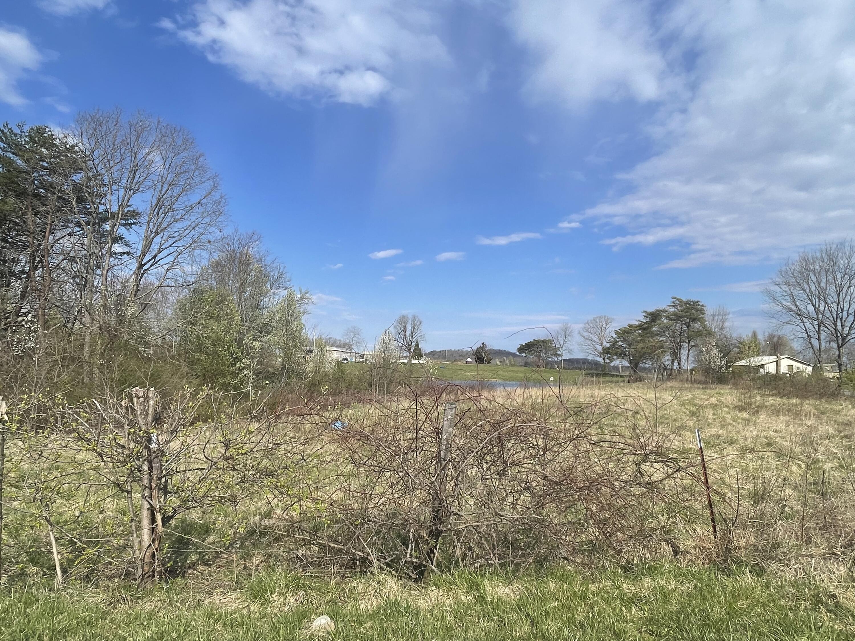02 Watson Loop, Pikeville, Tennessee image 8