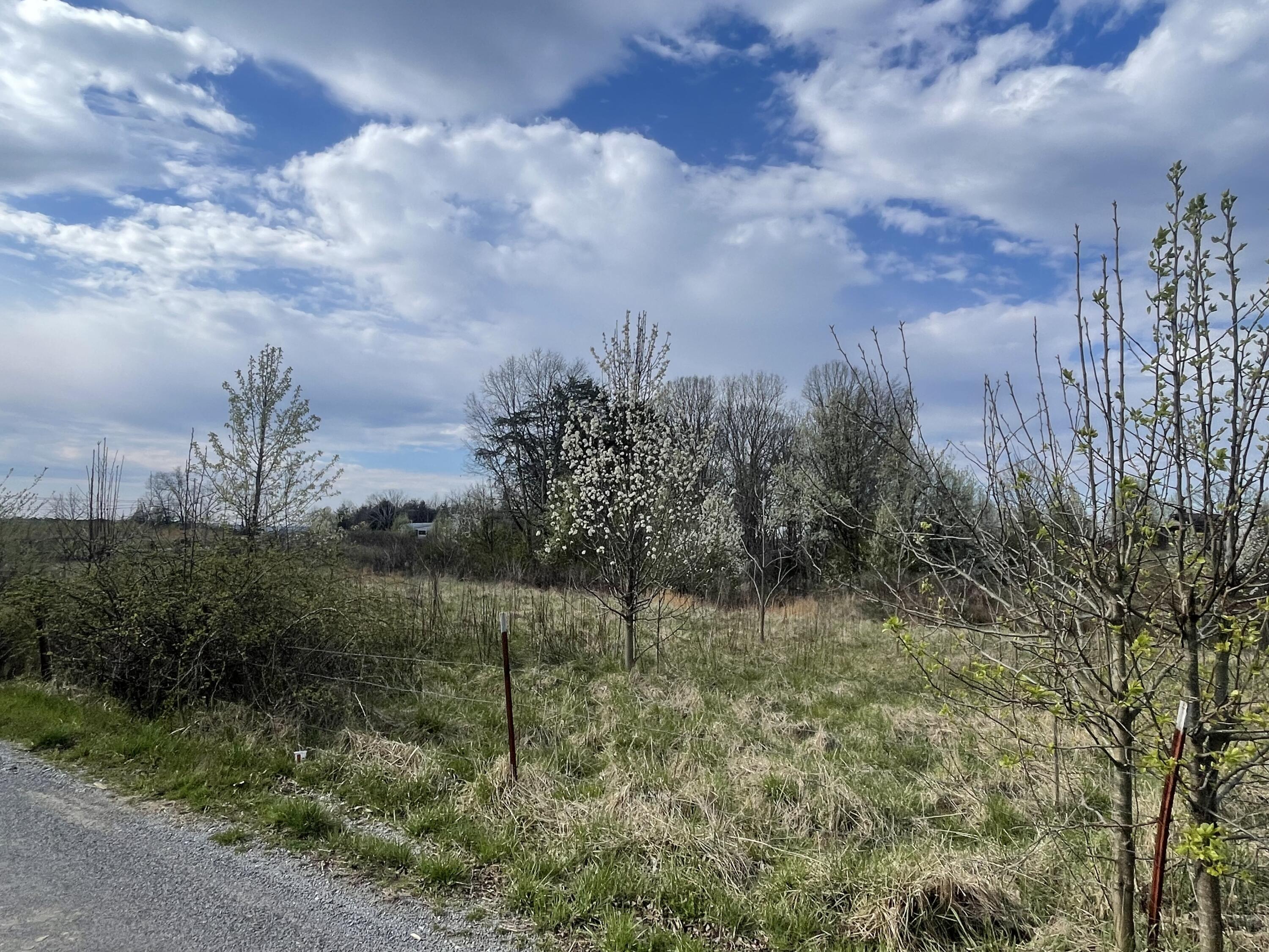 02 Watson Loop, Pikeville, Tennessee image 11