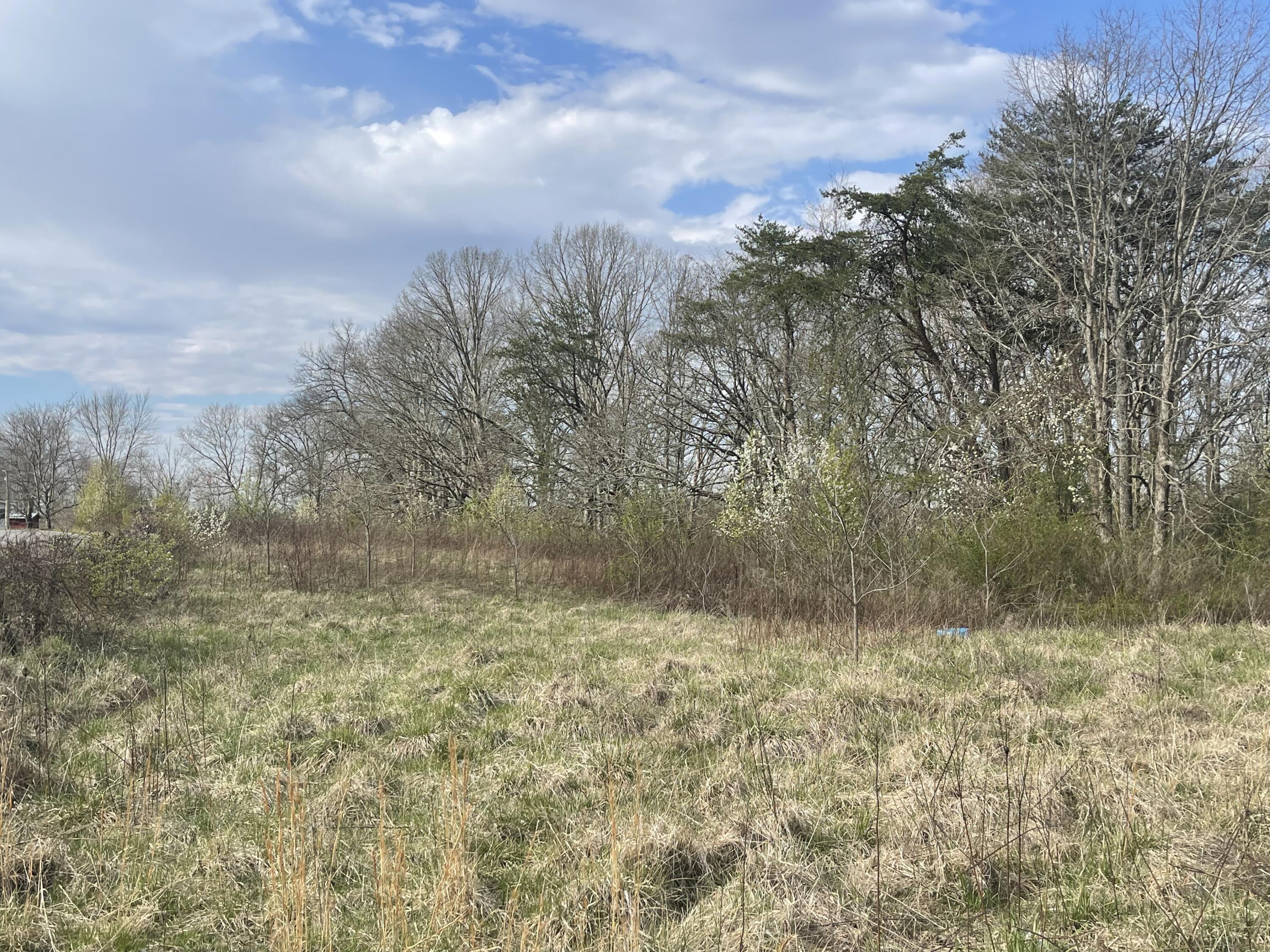 02 Watson Loop, Pikeville, Tennessee image 5