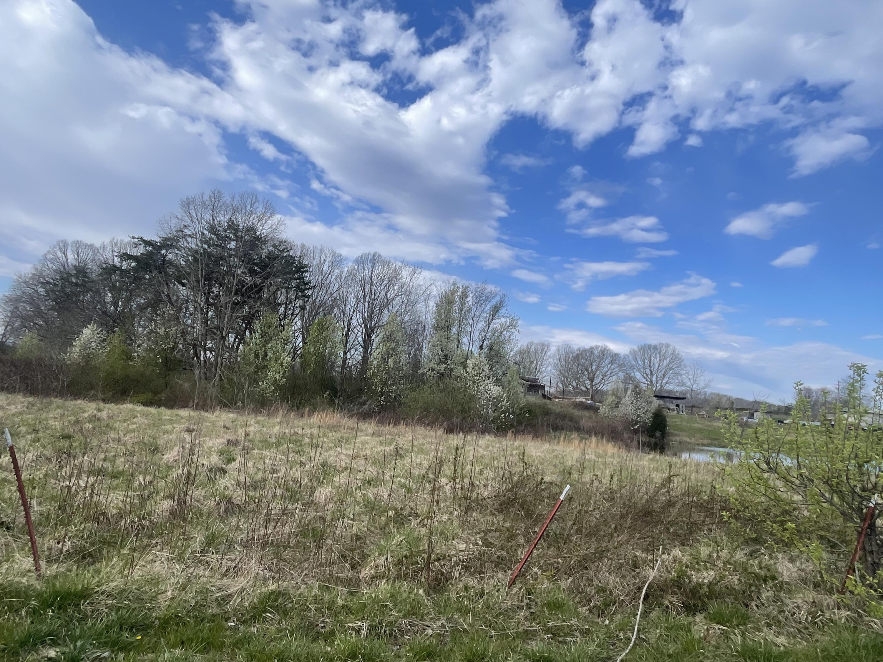 02 Watson Loop, Pikeville, Tennessee image 2