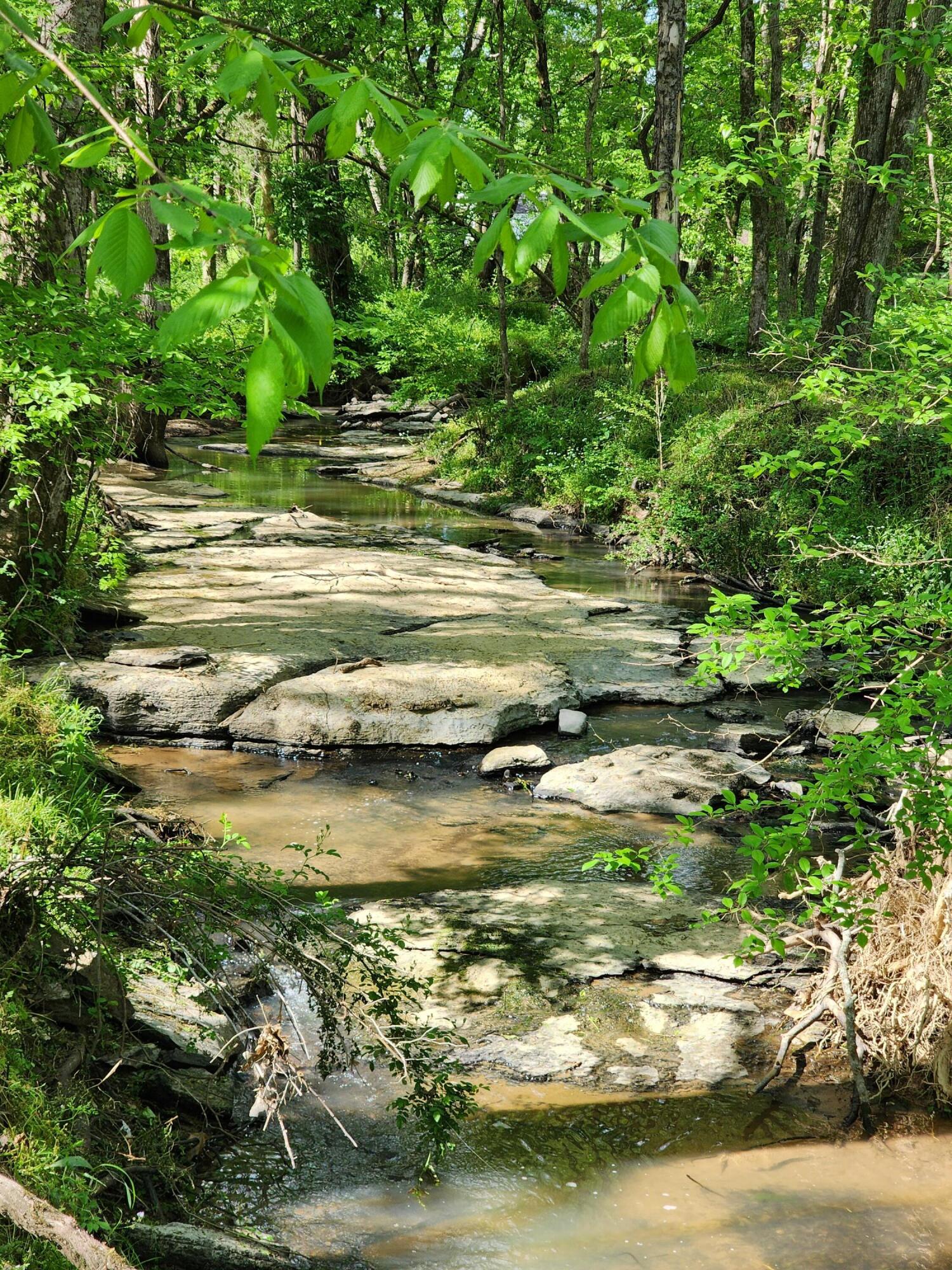 5120 Hwy 231, Castalian Springs, Tennessee image 32