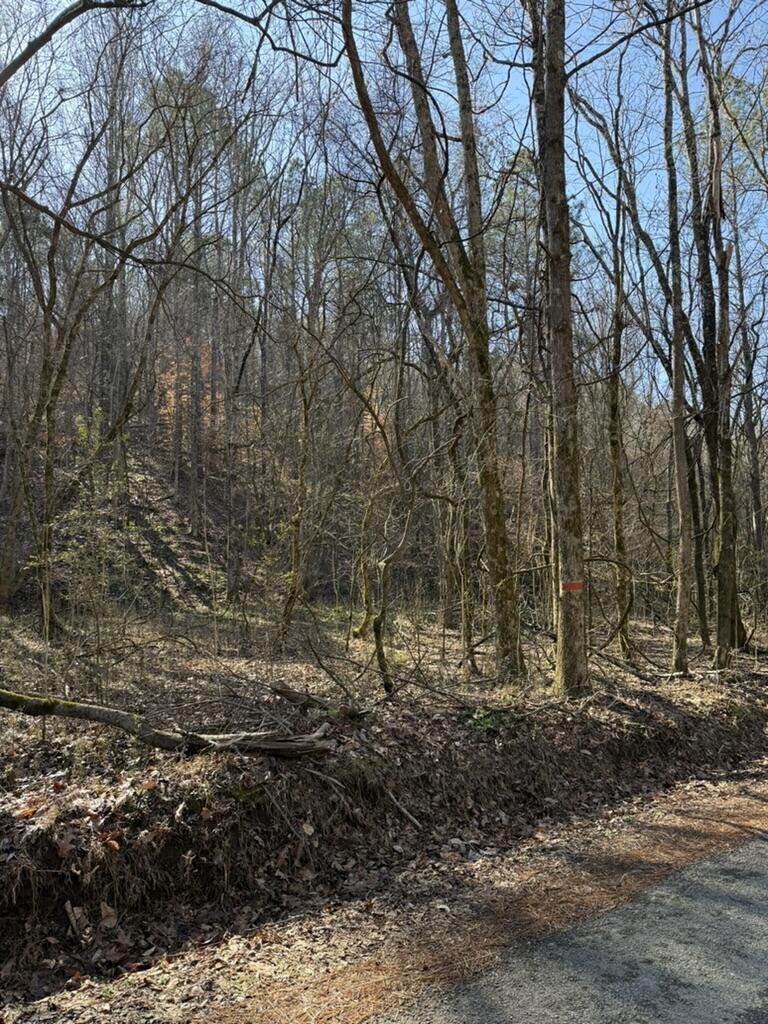 Wilson Hollow Road, Decatur, Tennessee image 2