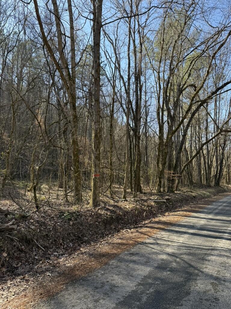 Wilson Hollow Road, Decatur, Tennessee image 3