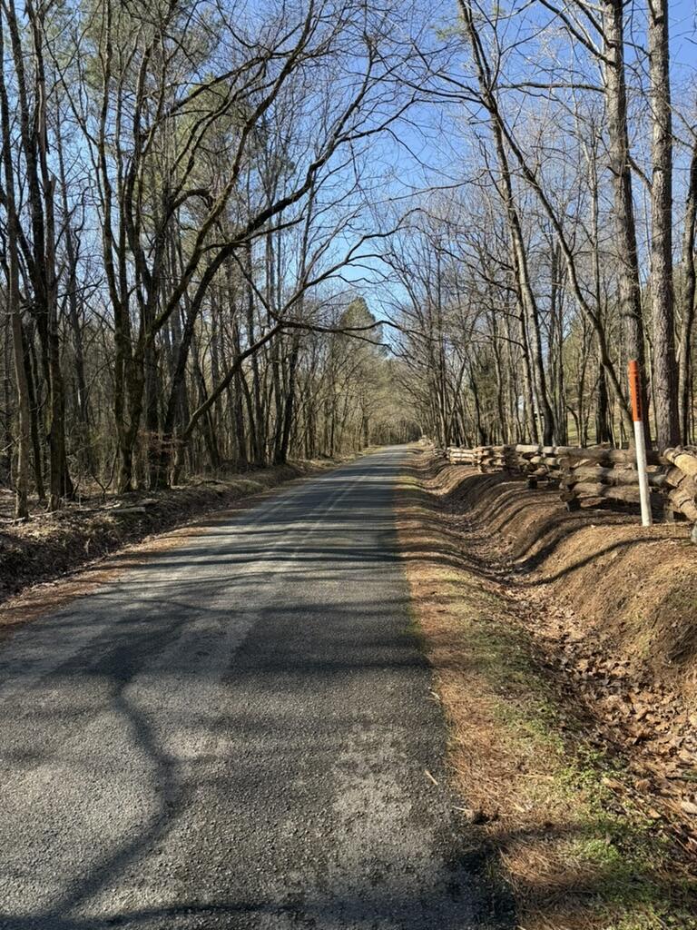 Wilson Hollow Road, Decatur, Tennessee image 1