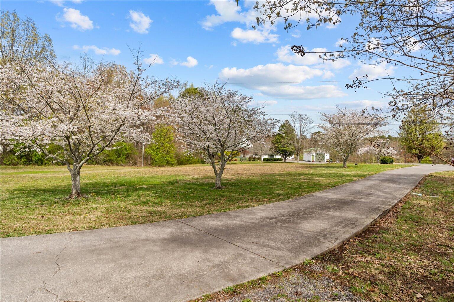 201 Polk Way, Dalton, Georgia image 3