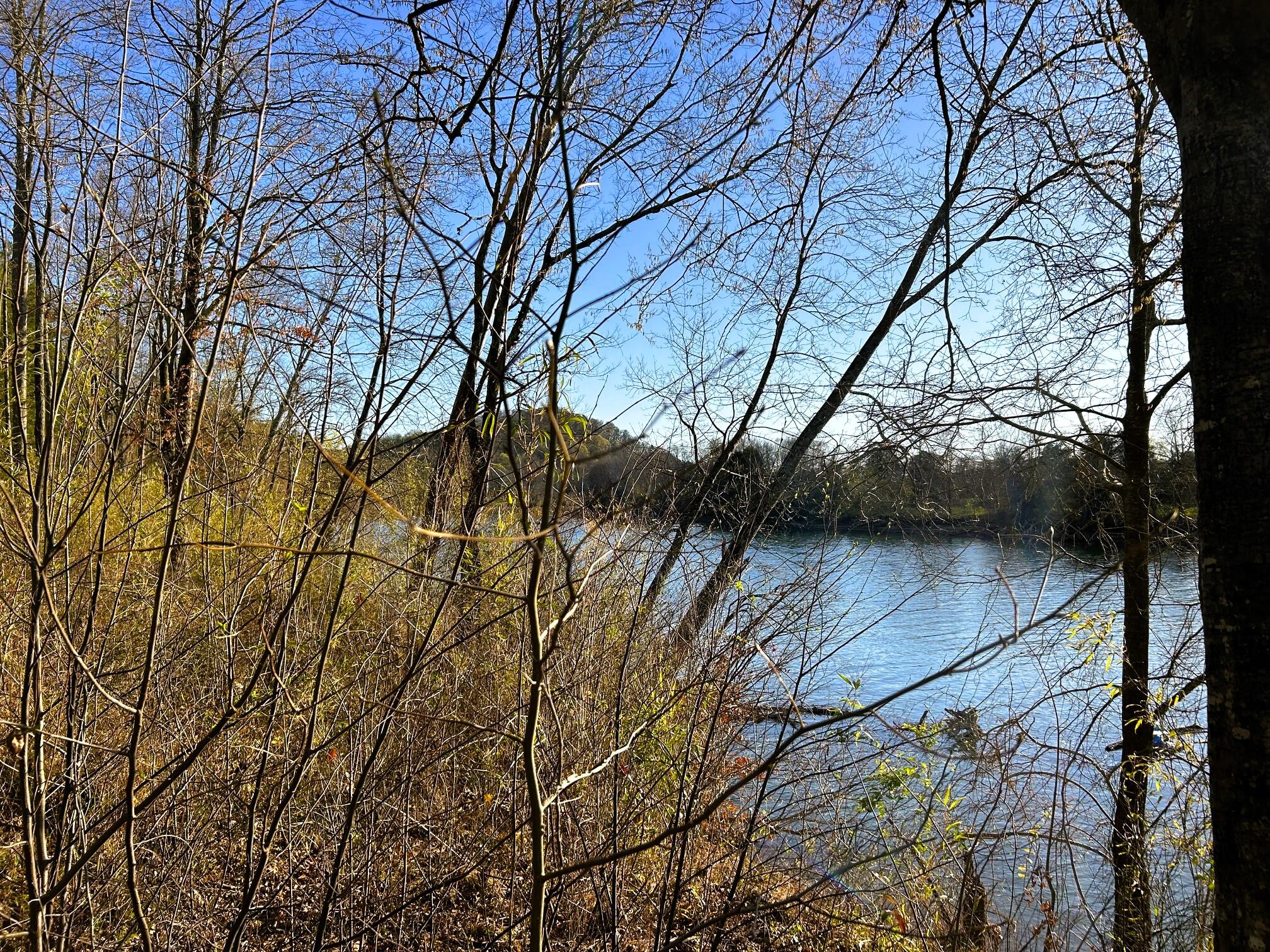 Lot 4 County Road 950, Calhoun, Tennessee image 9