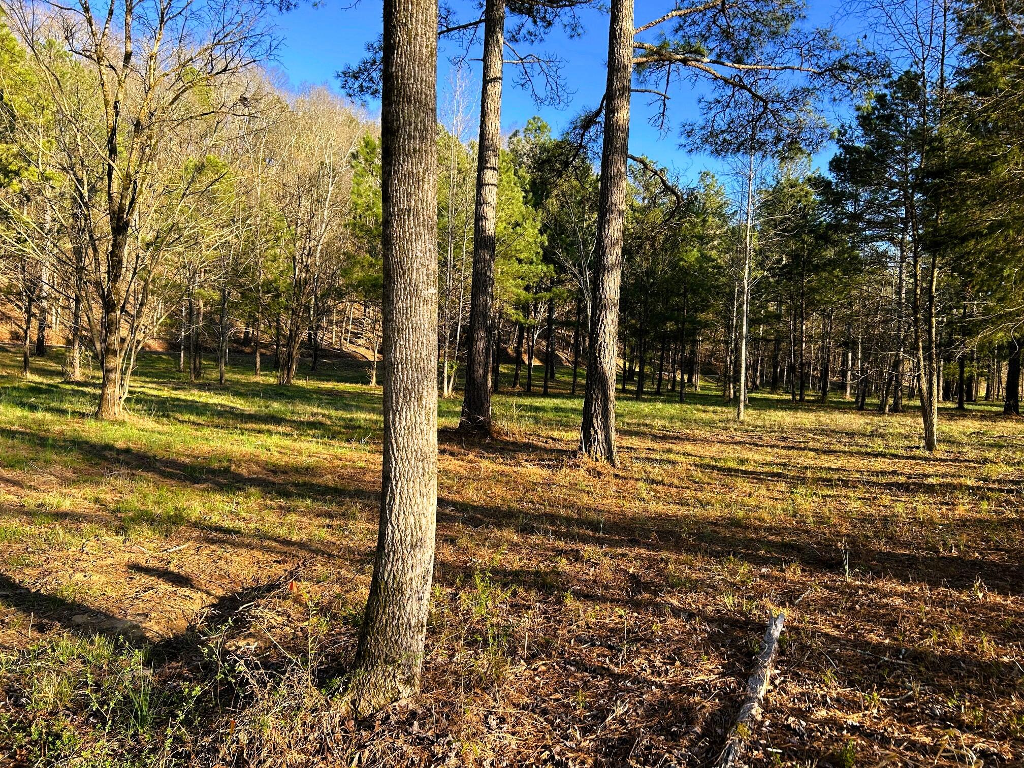 Lot 4 County Road 950, Calhoun, Tennessee image 12