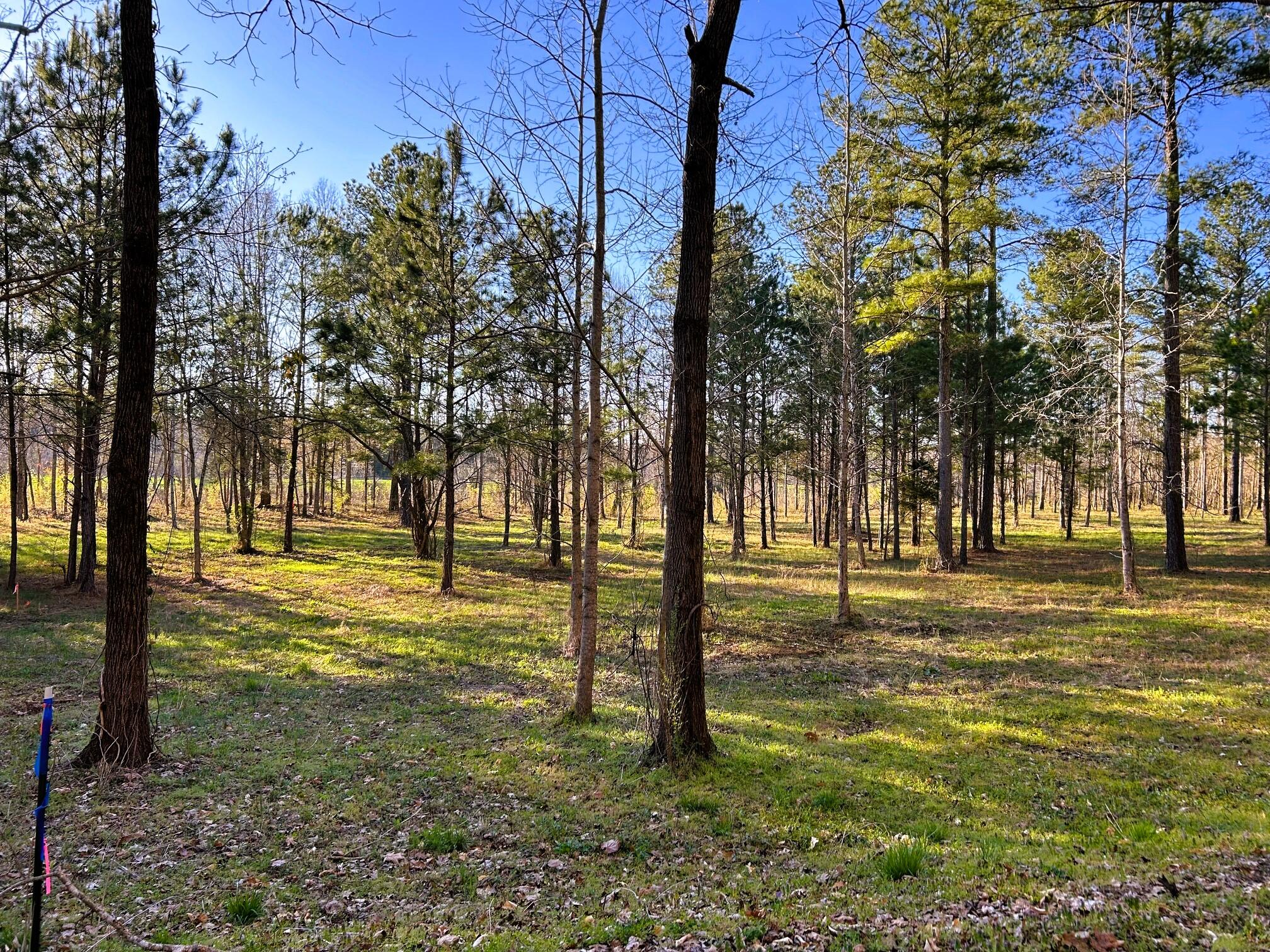 Lot 4 County Road 950, Calhoun, Tennessee image 7
