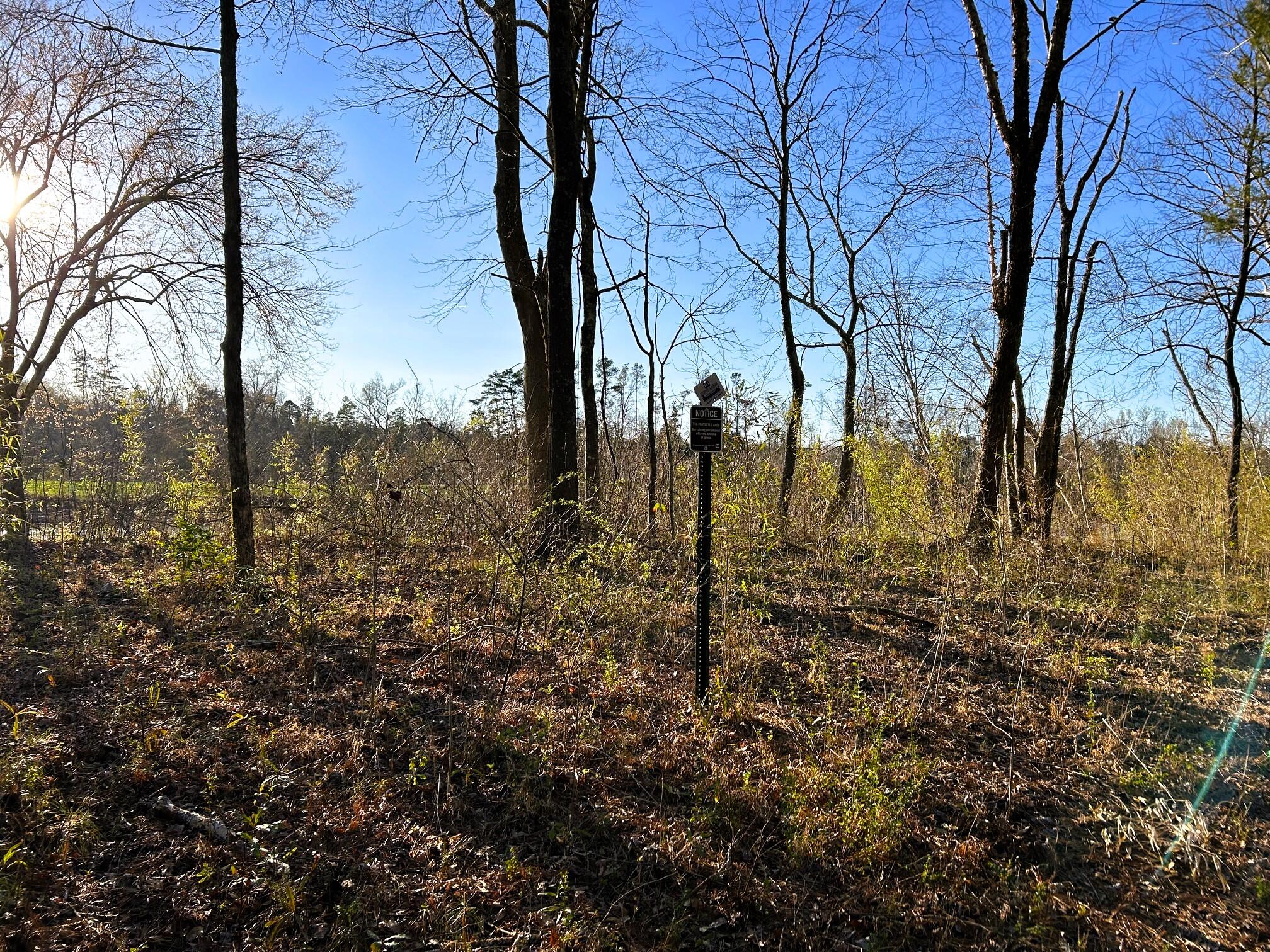 Lot 4 County Road 950, Calhoun, Tennessee image 3