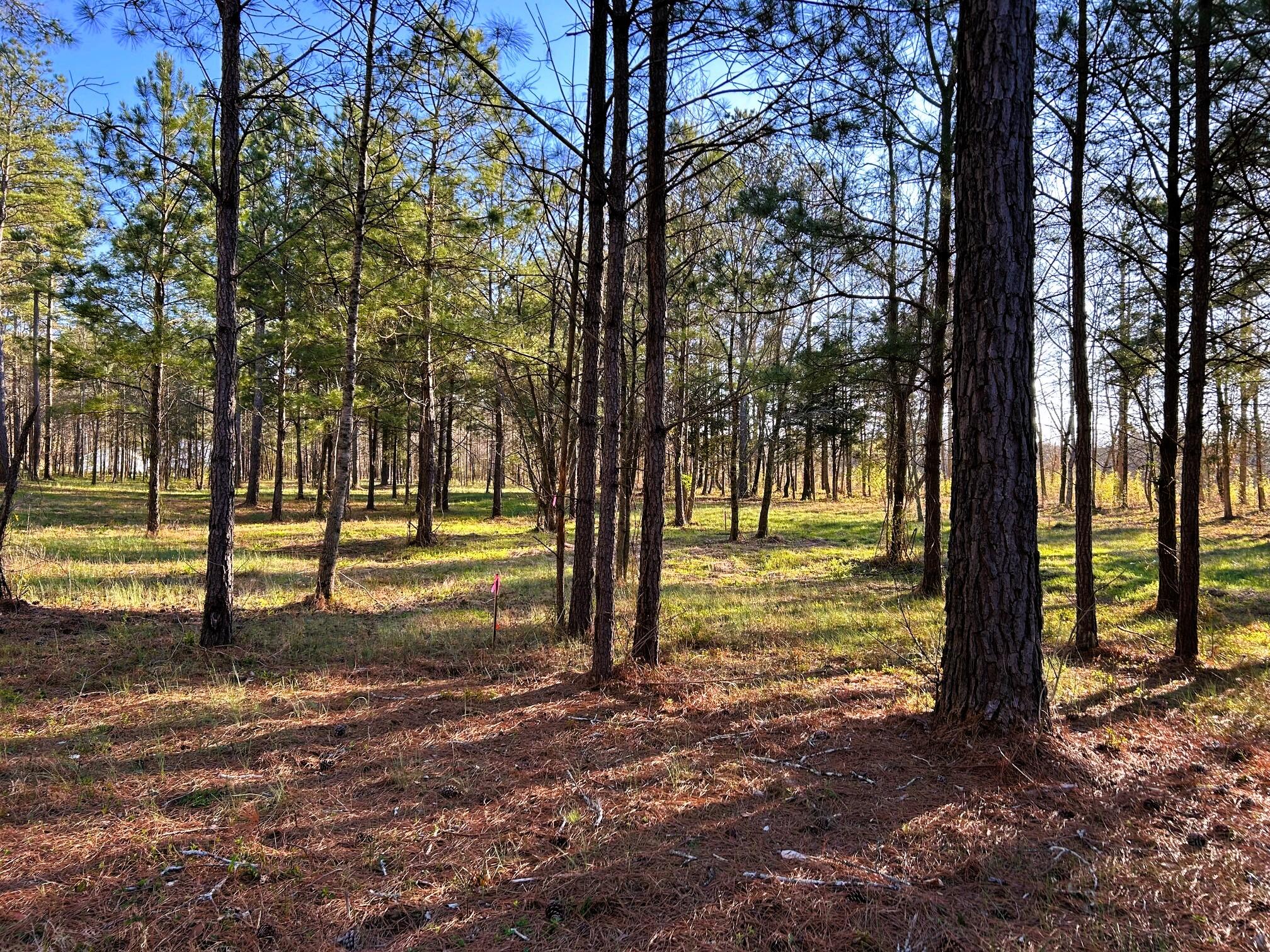 Lot 4 County Road 950, Calhoun, Tennessee image 1