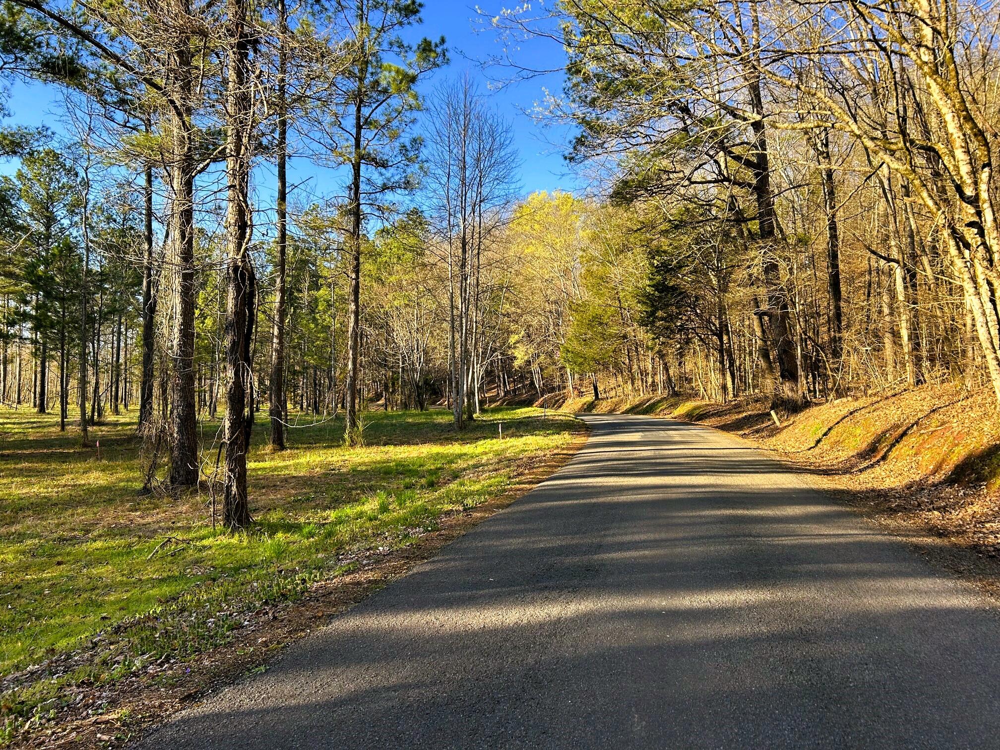 Lot 4 County Road 950, Calhoun, Tennessee image 5