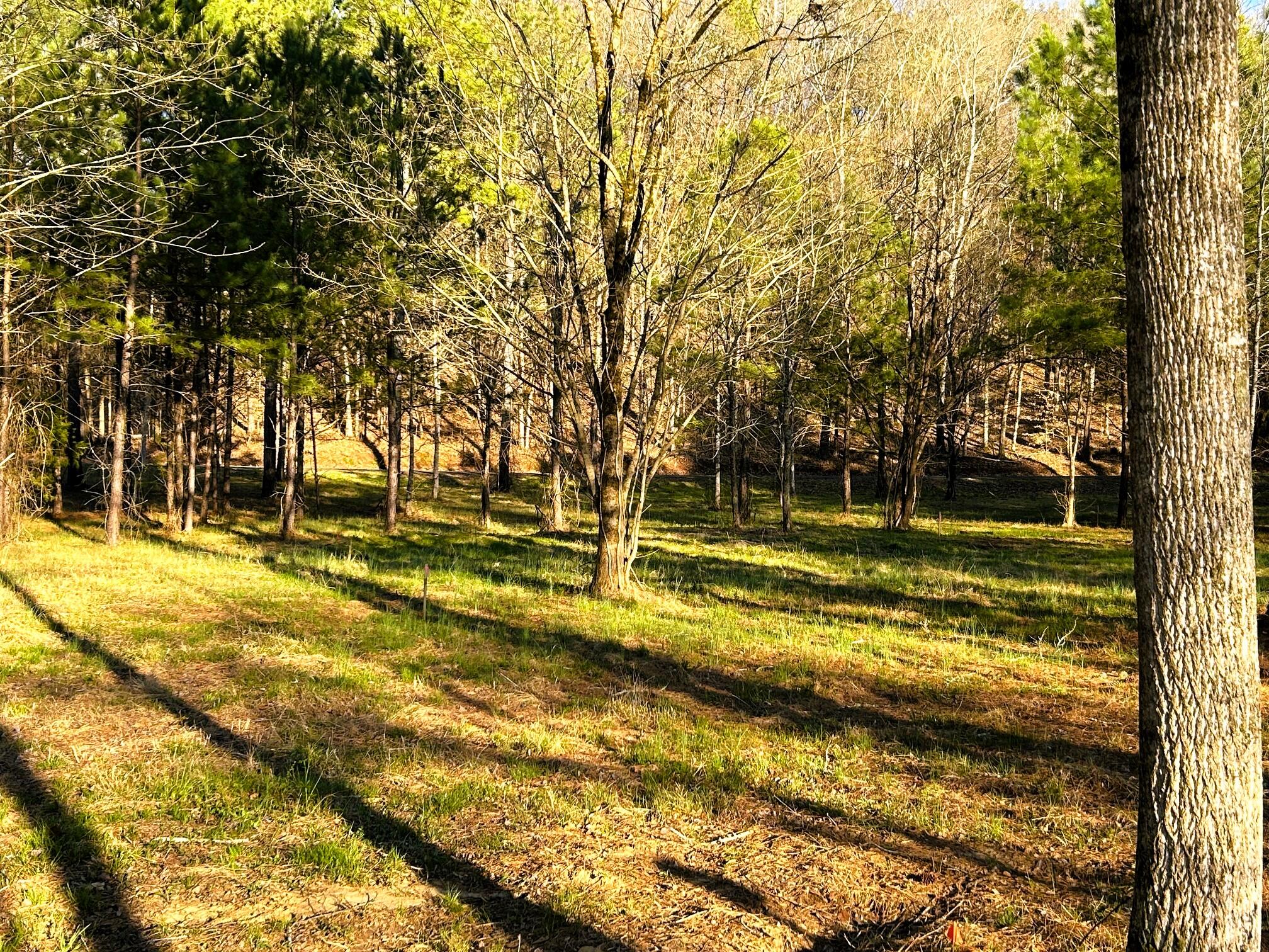 Lot 4 County Road 950, Calhoun, Tennessee image 13
