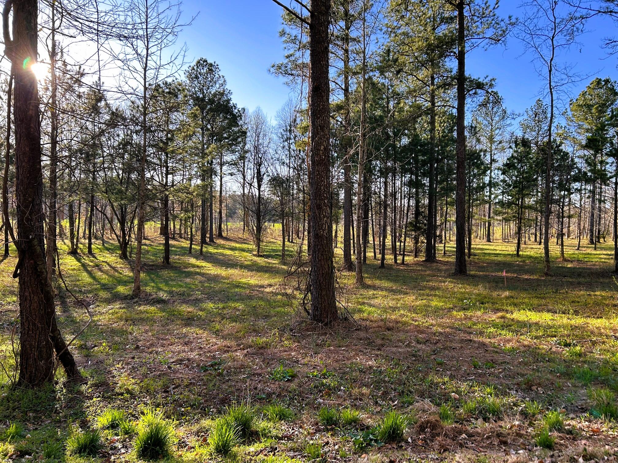 Lot 4 County Road 950, Calhoun, Tennessee image 8