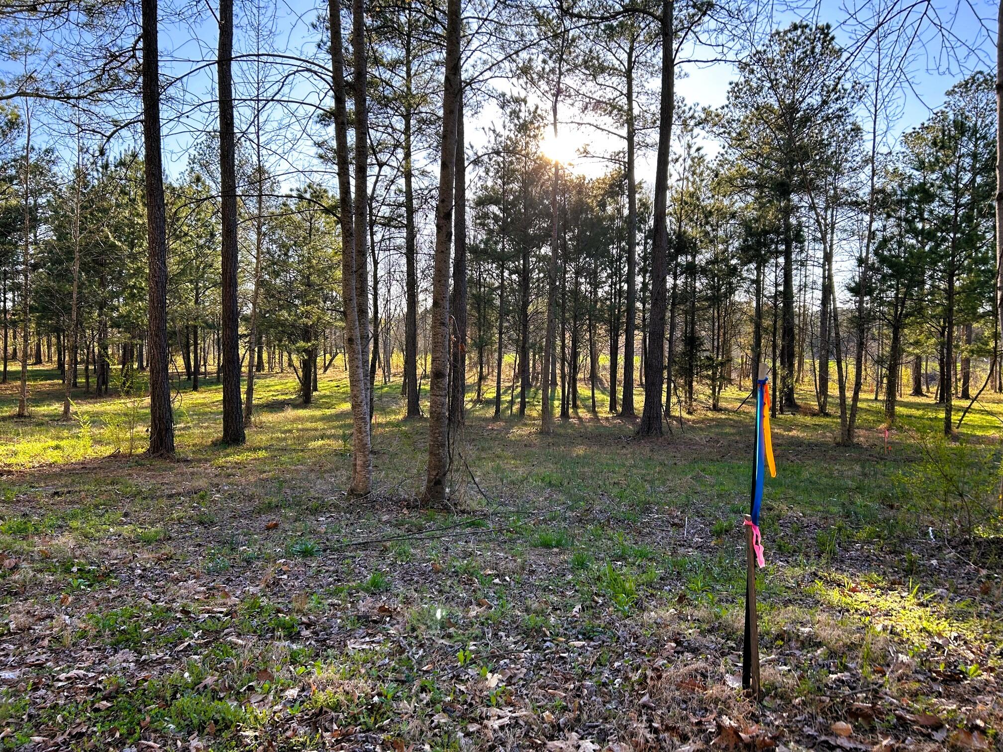 Lot 4 County Road 950, Calhoun, Tennessee image 16