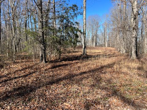 Photo of 0 Fern Hill Road, Pikeville, TN 37367 (MLS # 1504818)