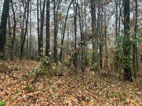 Photo of 260 Timber Ridge; Lot 4 Drive, Kimball, TN 37347 (MLS # 1520741)