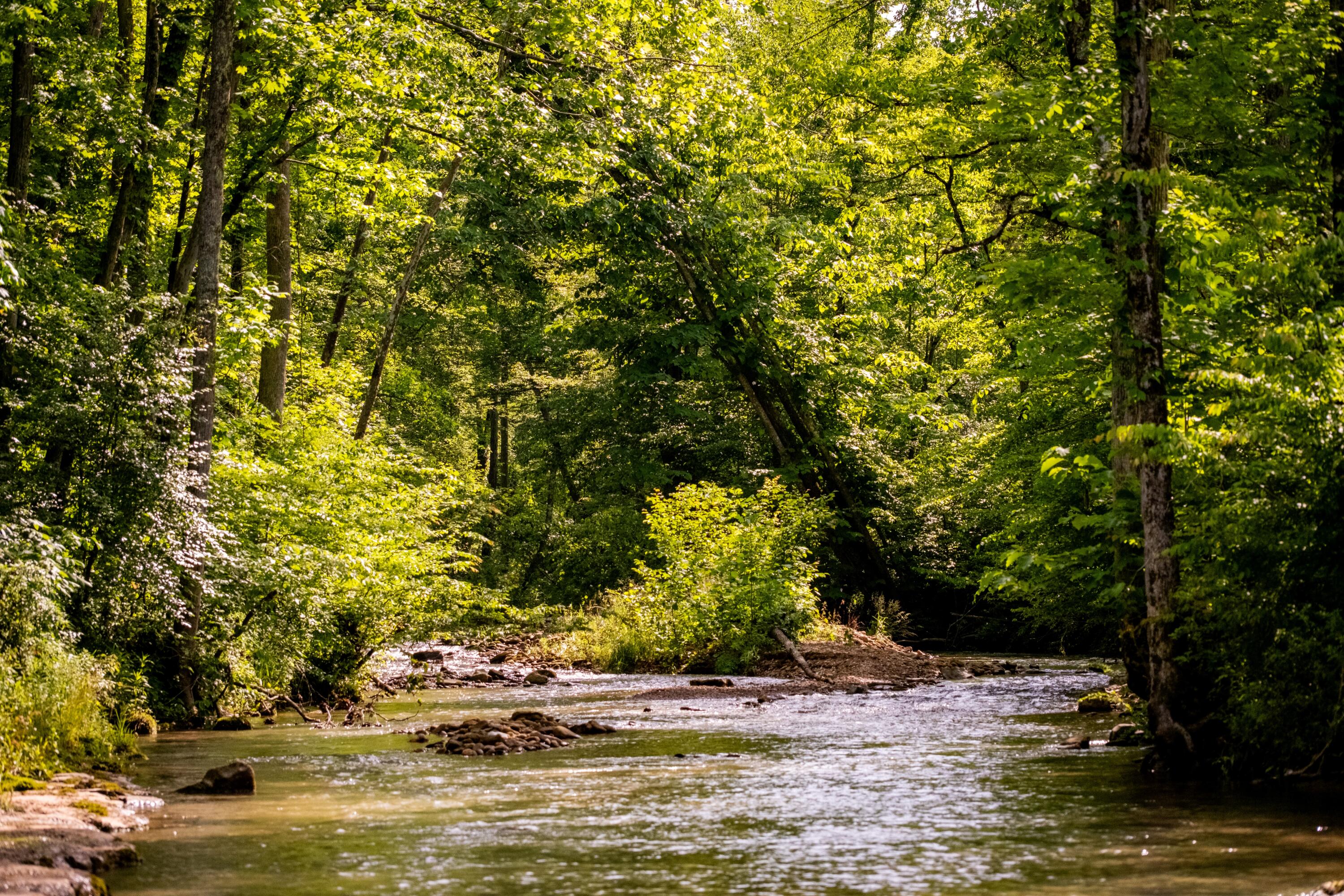 Tbd Puncheon Creek Lane, Livingston, Tennessee image 3