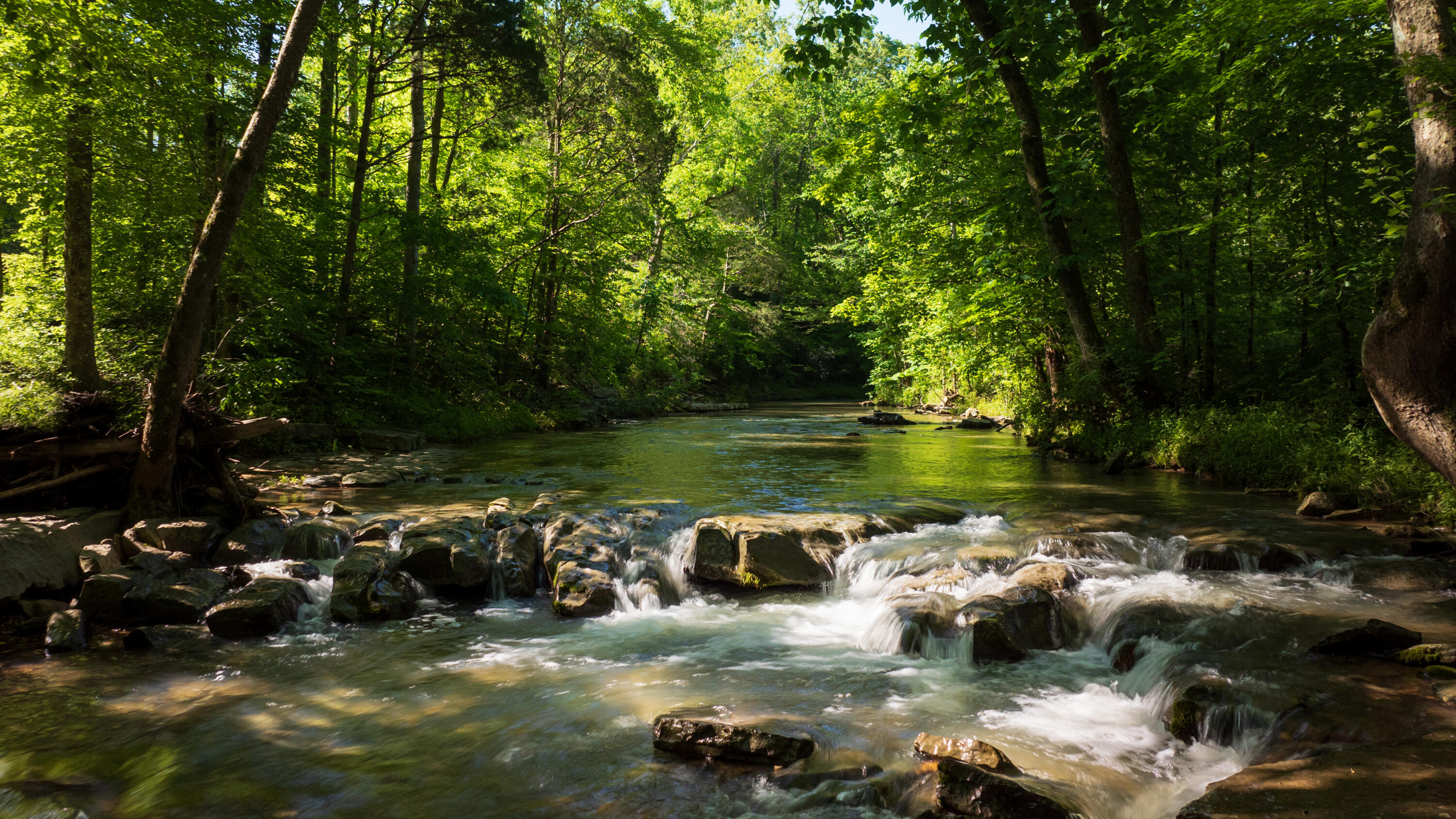 Tbd Puncheon Creek Lane, Livingston, Tennessee image 7