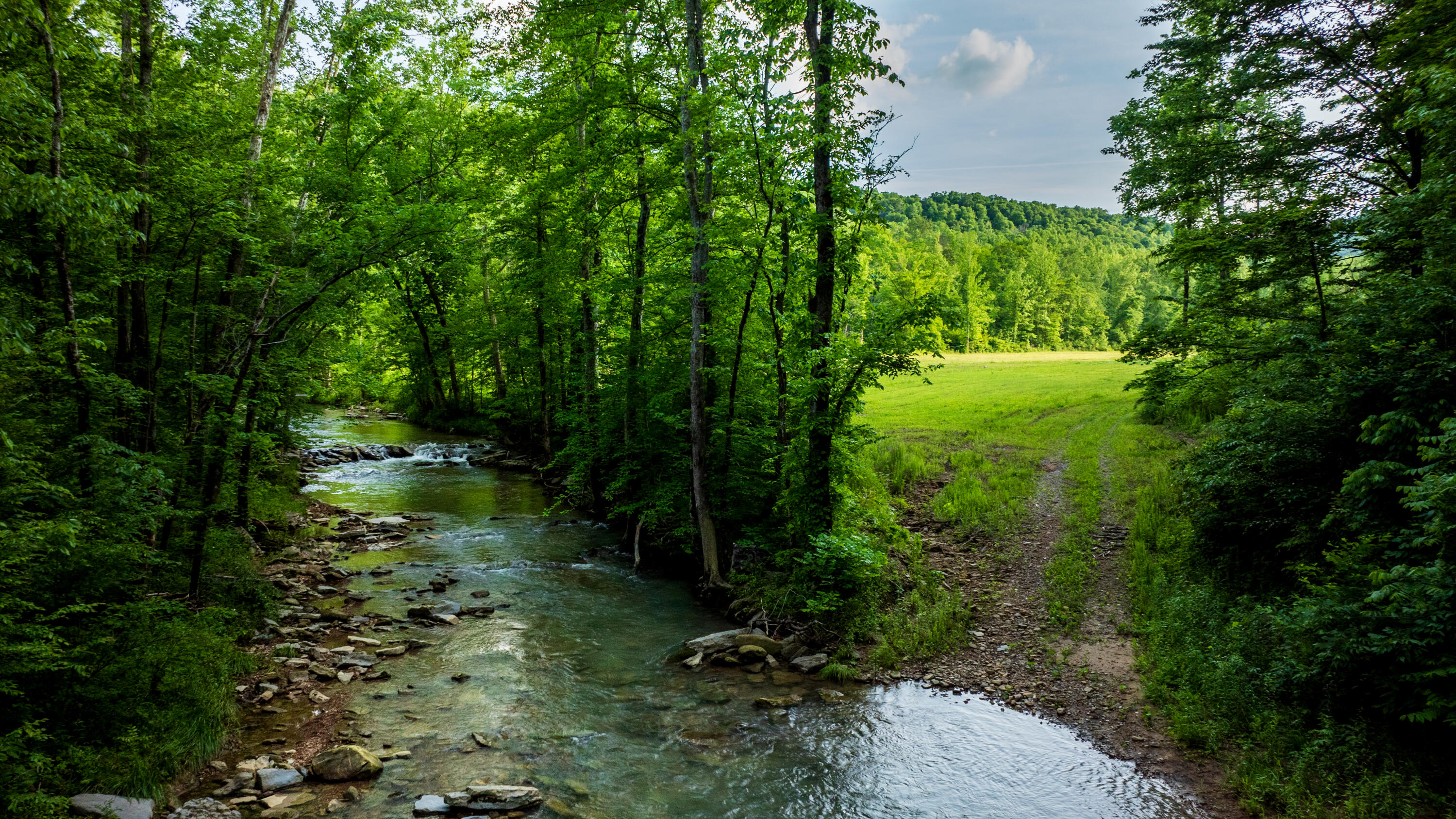 Tbd Puncheon Creek Lane, Livingston, Tennessee image 1