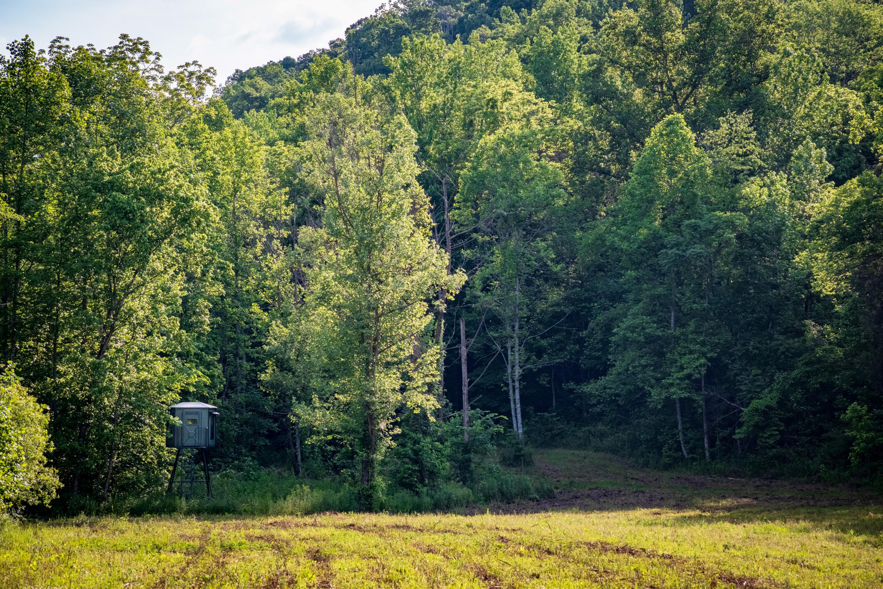 Tbd Puncheon Creek Lane, Livingston, Tennessee image 20