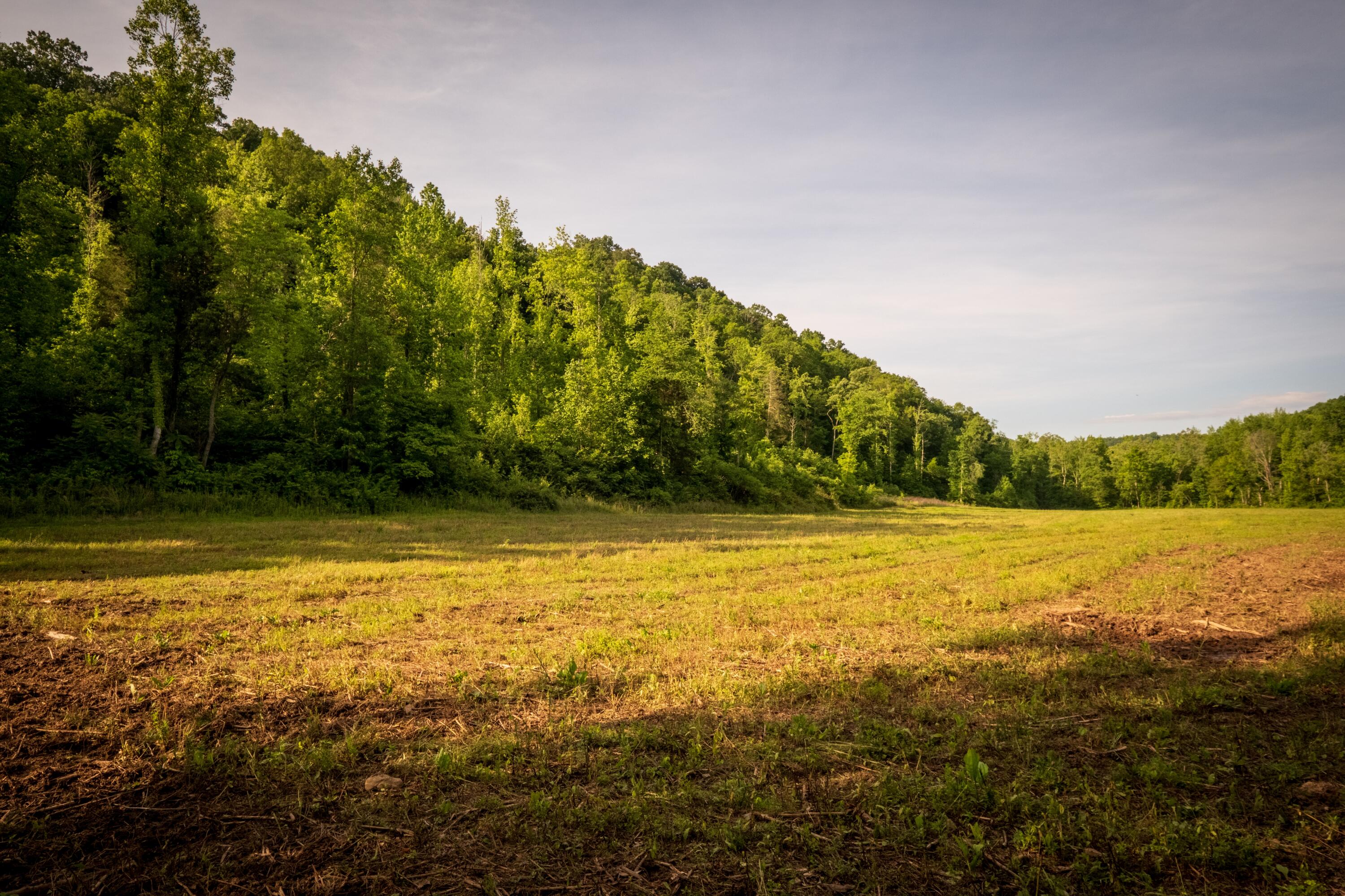 Tbd Puncheon Creek Lane, Livingston, Tennessee image 18