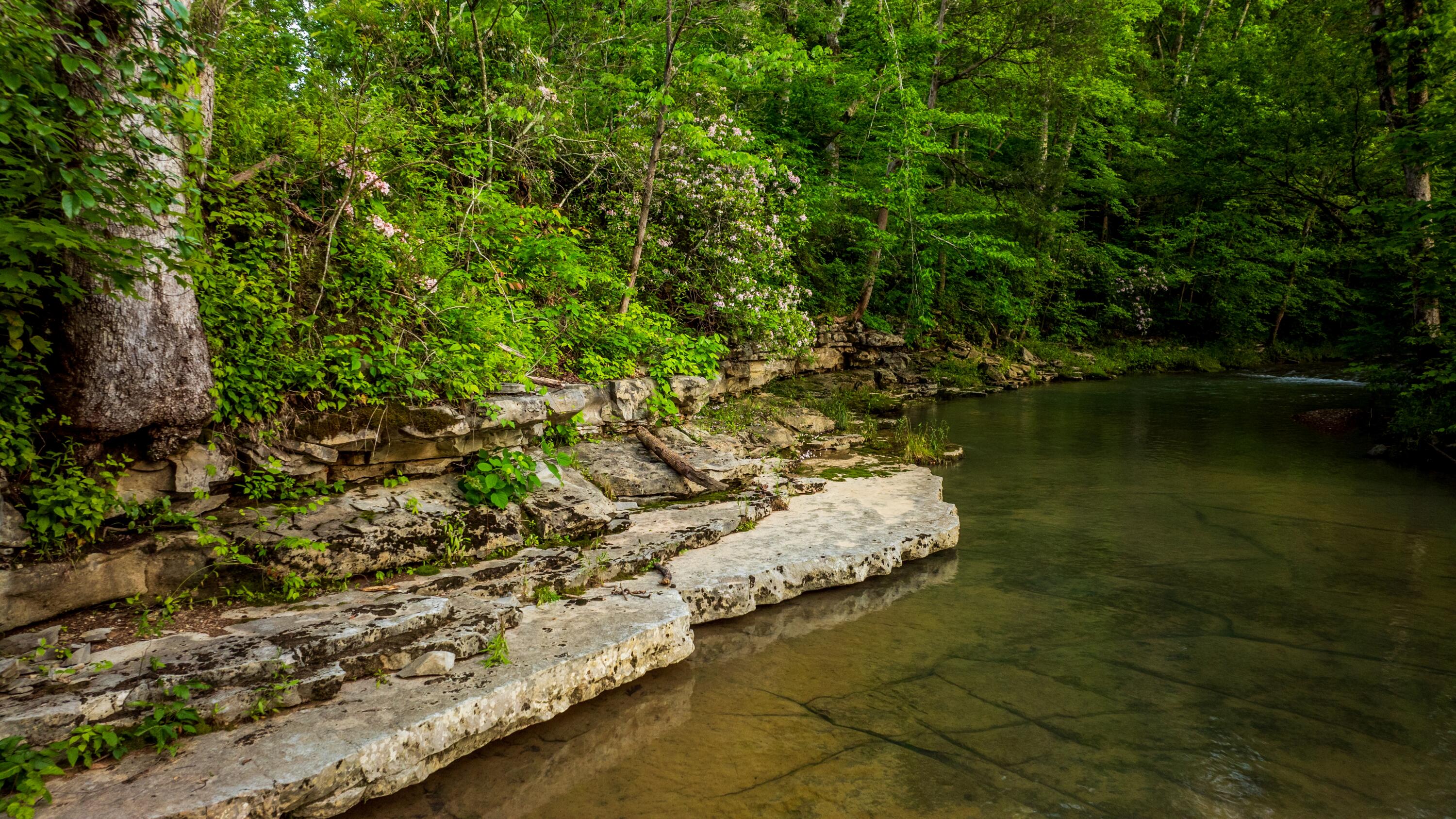 Tbd Puncheon Creek Lane, Livingston, Tennessee image 10