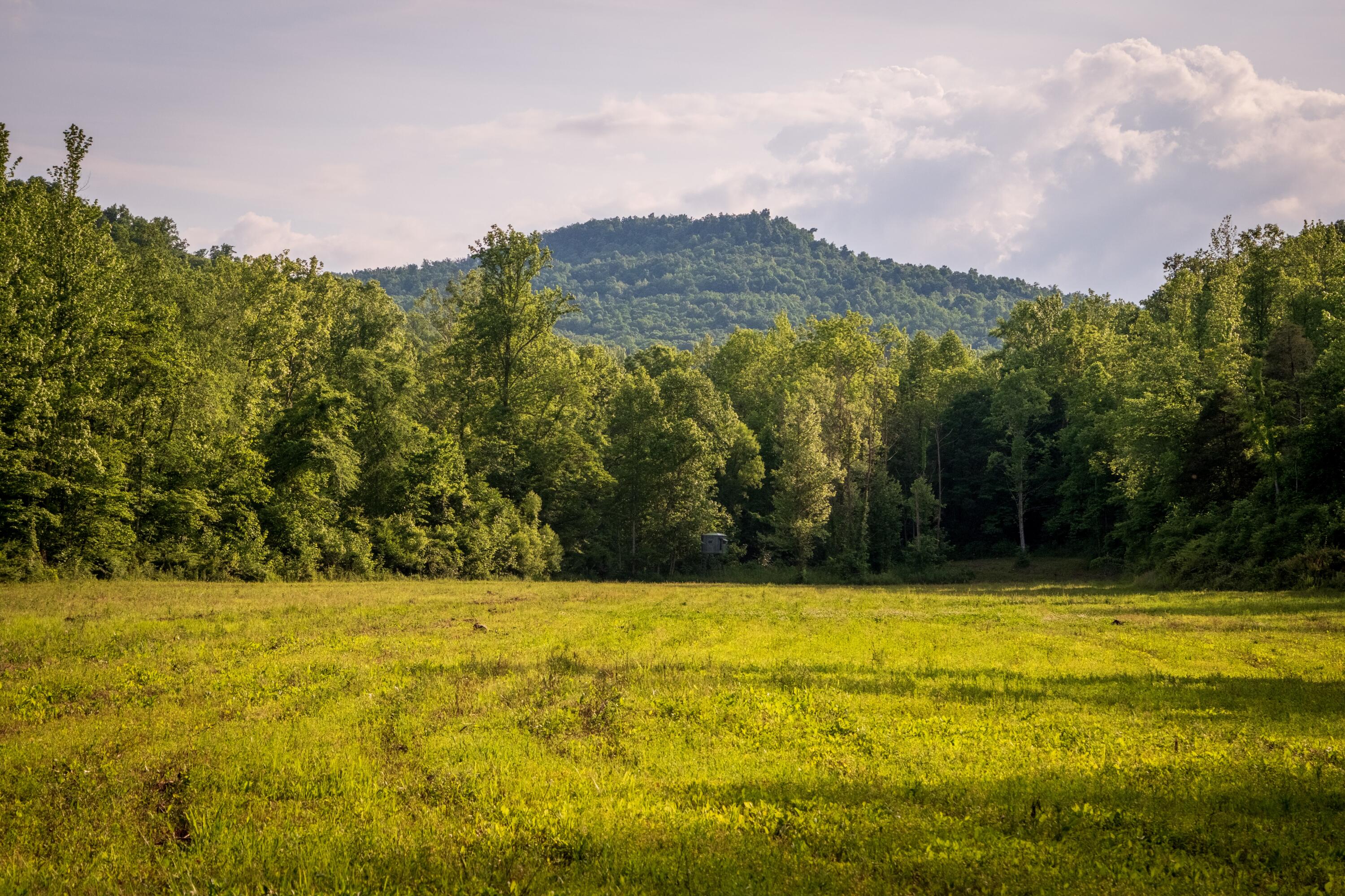 Tbd Puncheon Creek Lane, Livingston, Tennessee image 2