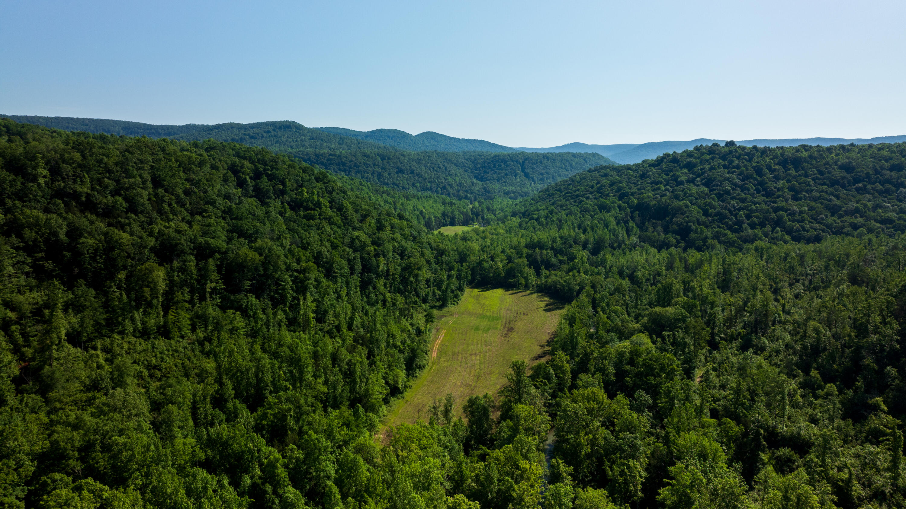 Tbd Puncheon Creek Lane, Livingston, Tennessee image 12