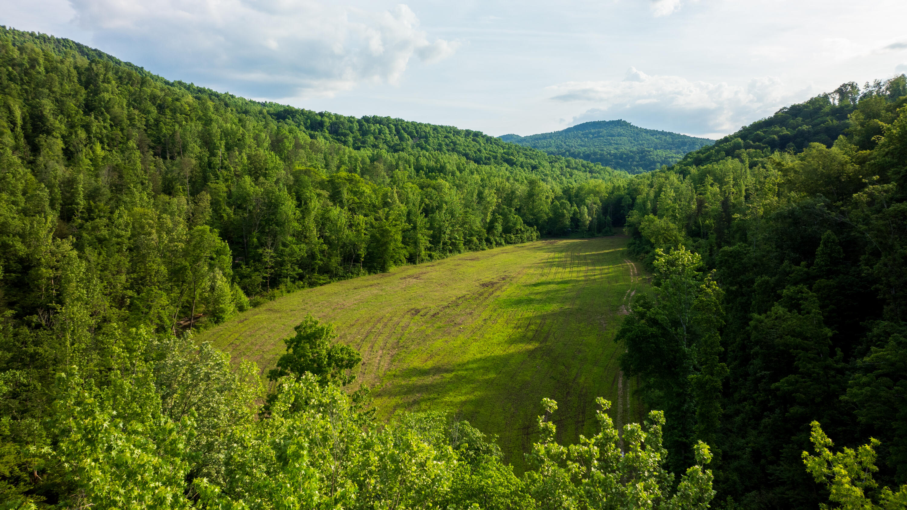 Tbd Puncheon Creek Lane, Livingston, Tennessee image 23