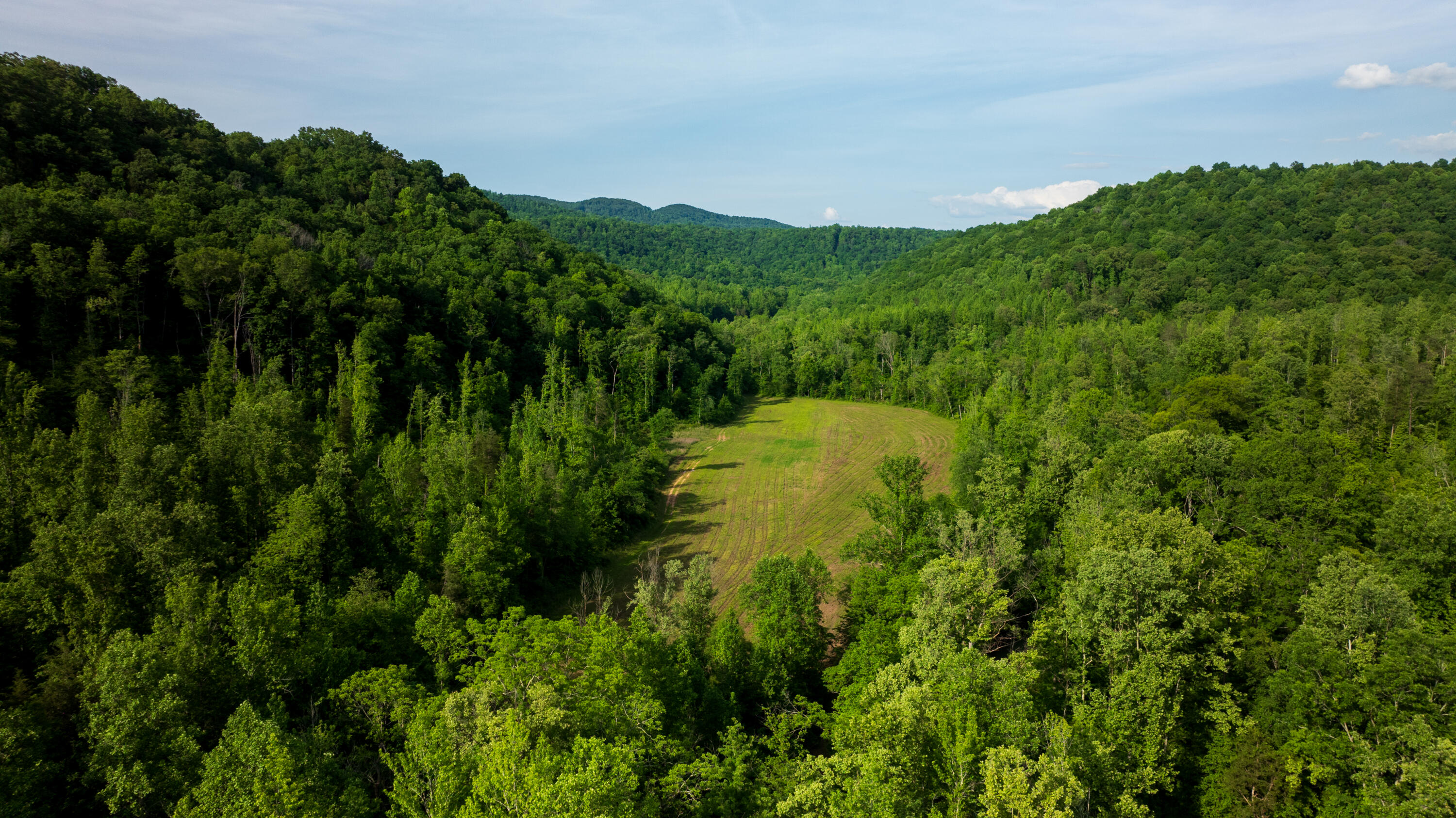 Tbd Puncheon Creek Lane, Livingston, Tennessee image 6