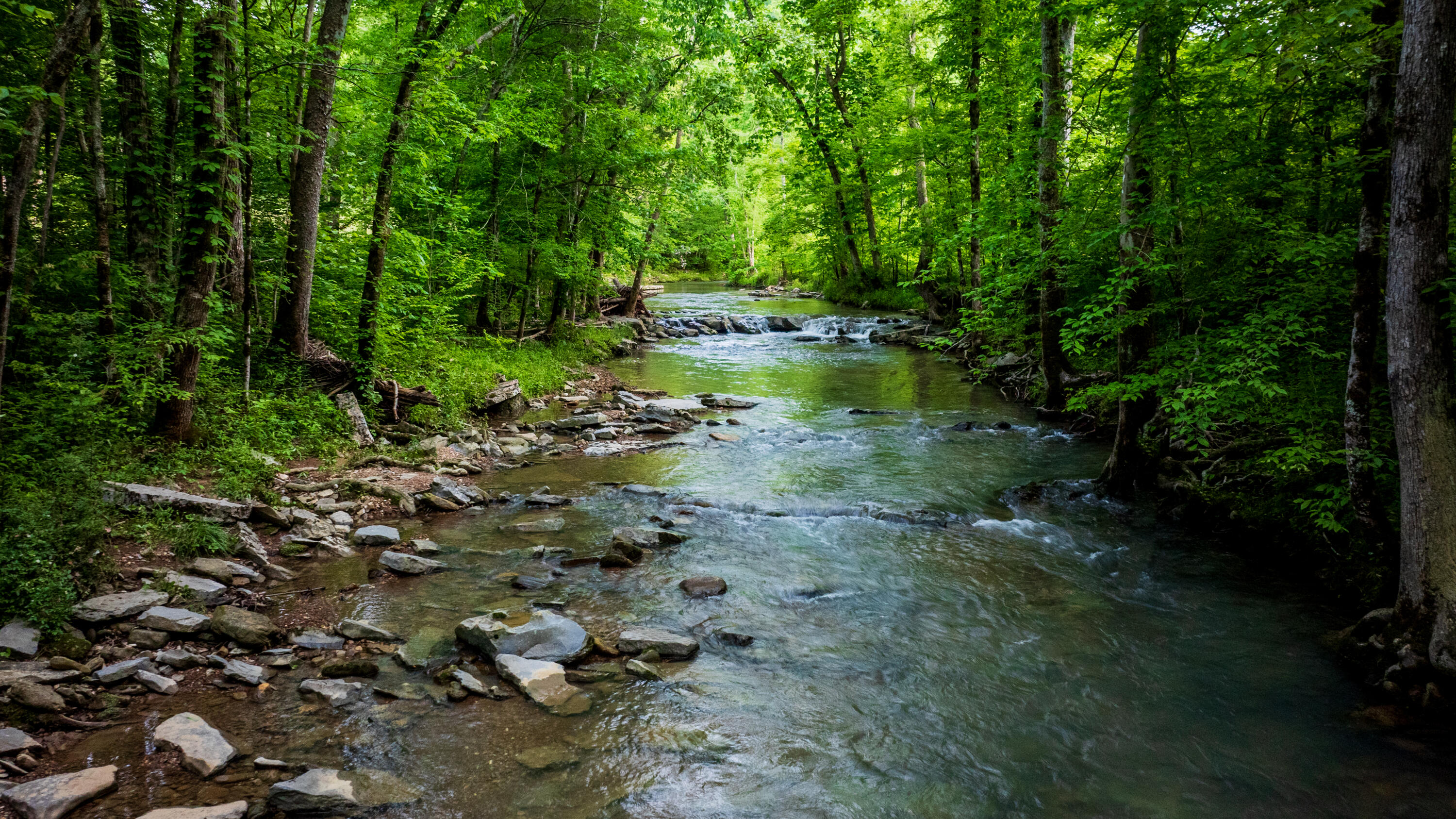 Tbd Puncheon Creek Lane, Livingston, Tennessee image 22