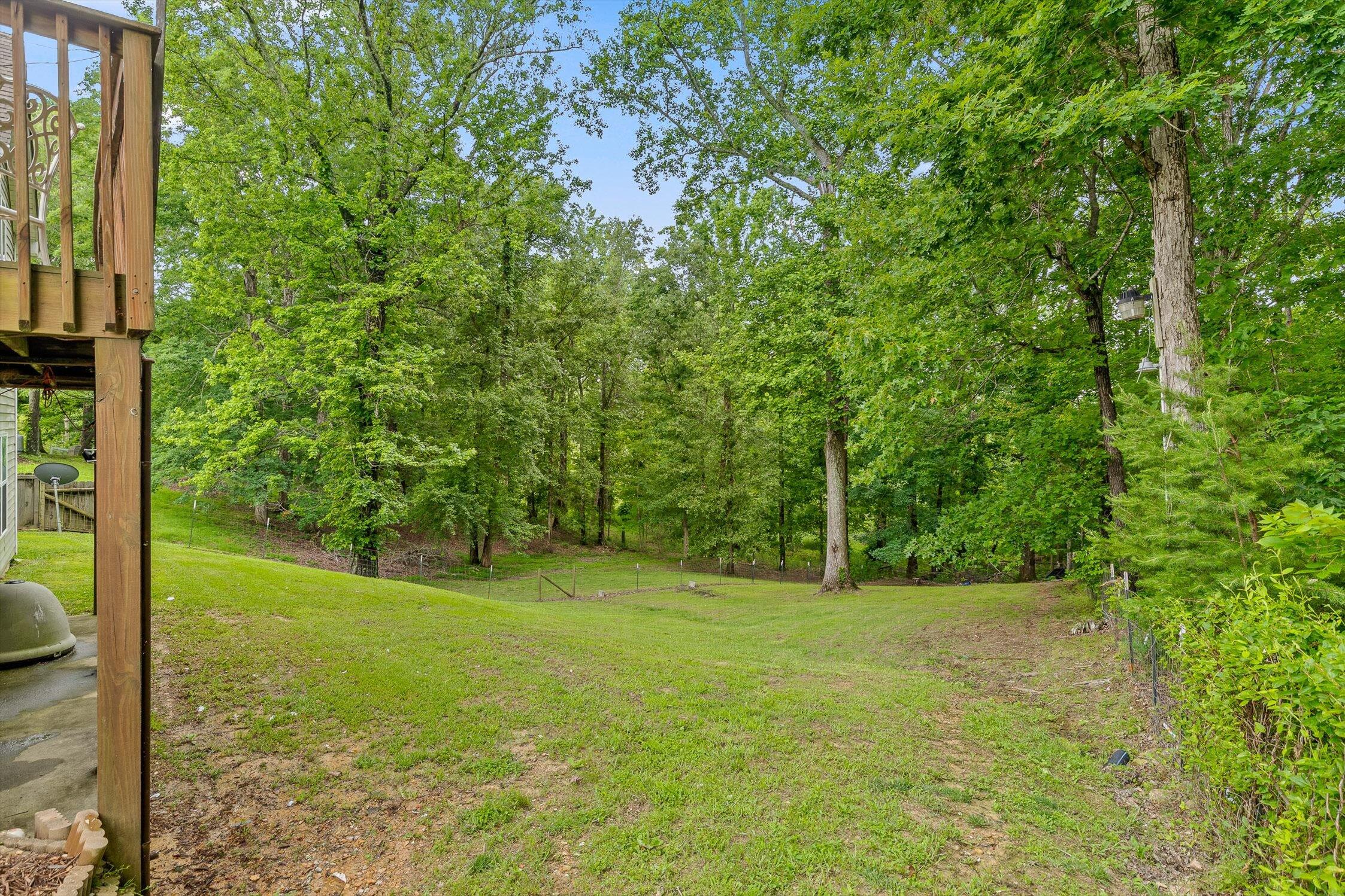 273 County Road 159, Bryant, Alabama image 47