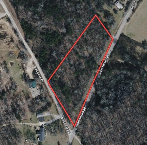 Vacant Land For Sale - Andy Thomas Road<br/> Sale Creek, TN 37373