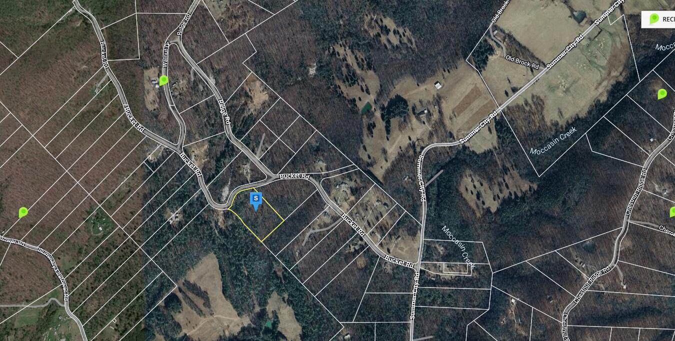 00 Swafford Road, Spring City, Tennessee image 3