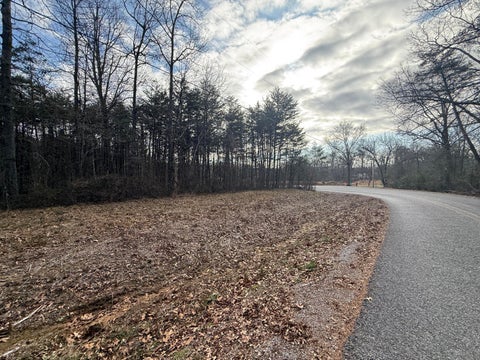 Photo of 01 County Road, Bryant, AL 35958 (MLS # 1538672)