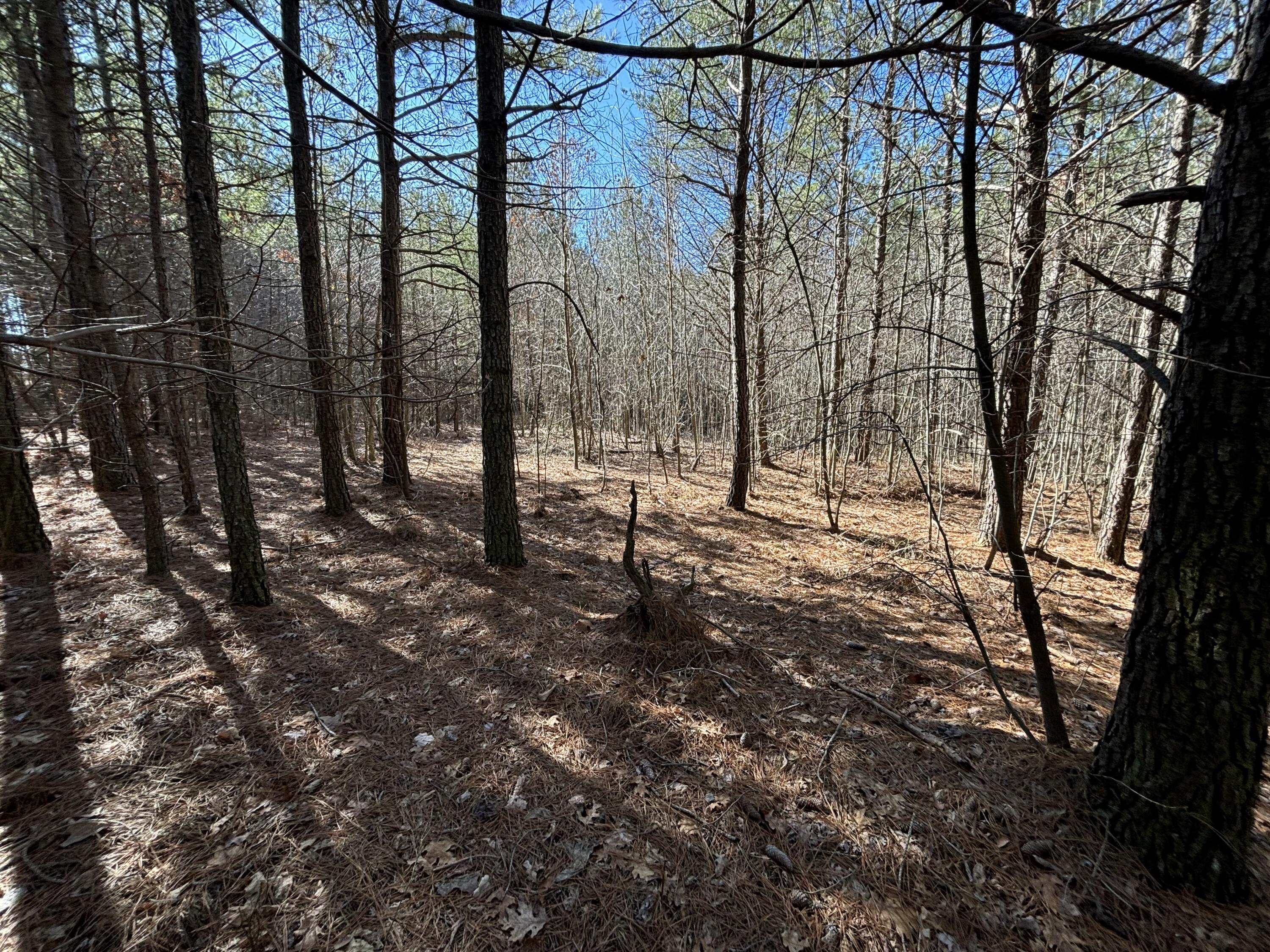 7 Fredonia Road, Dunlap, Tennessee image 3
