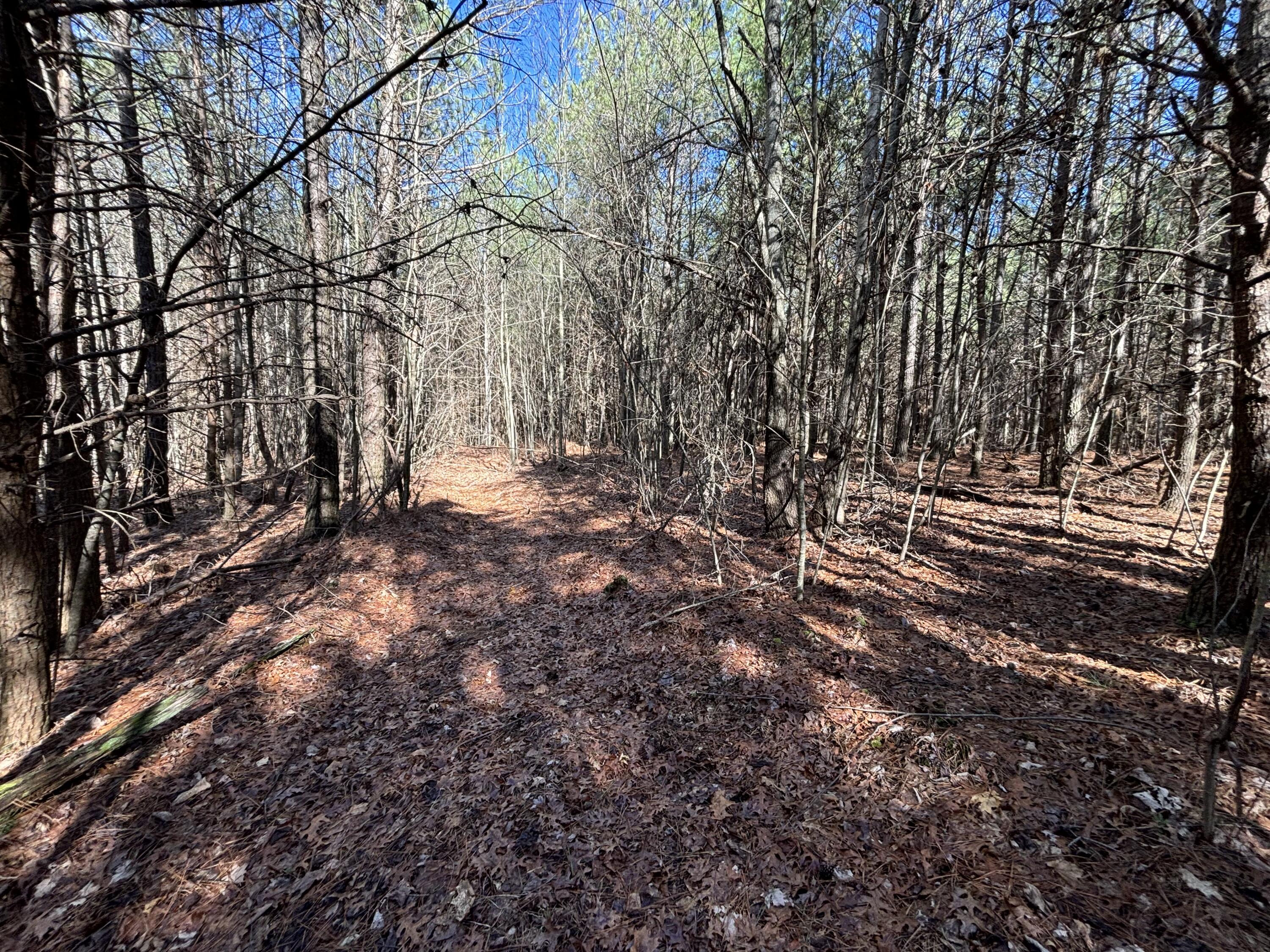 7 Fredonia Road, Dunlap, Tennessee image 2