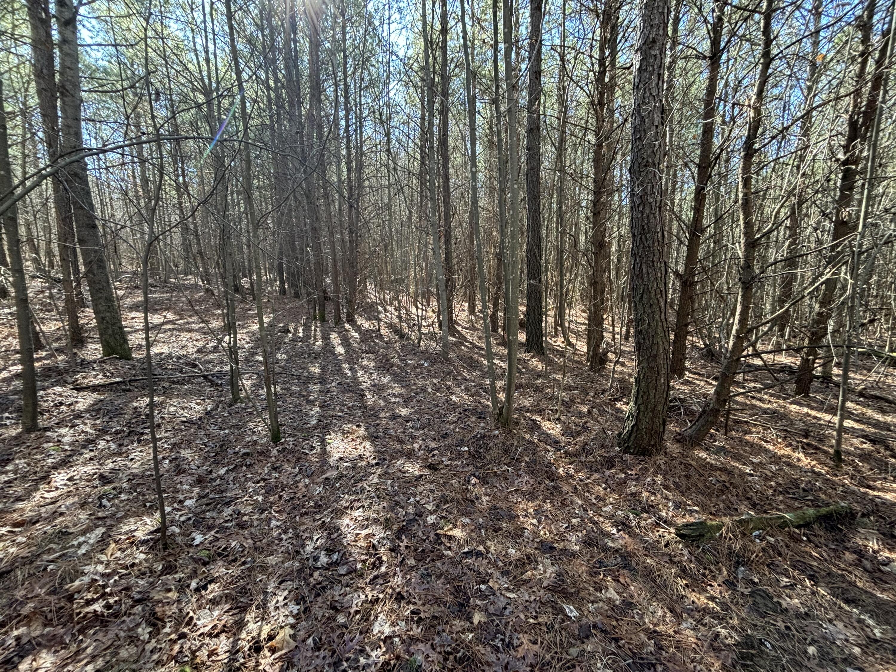 7 Fredonia Road, Dunlap, Tennessee image 5