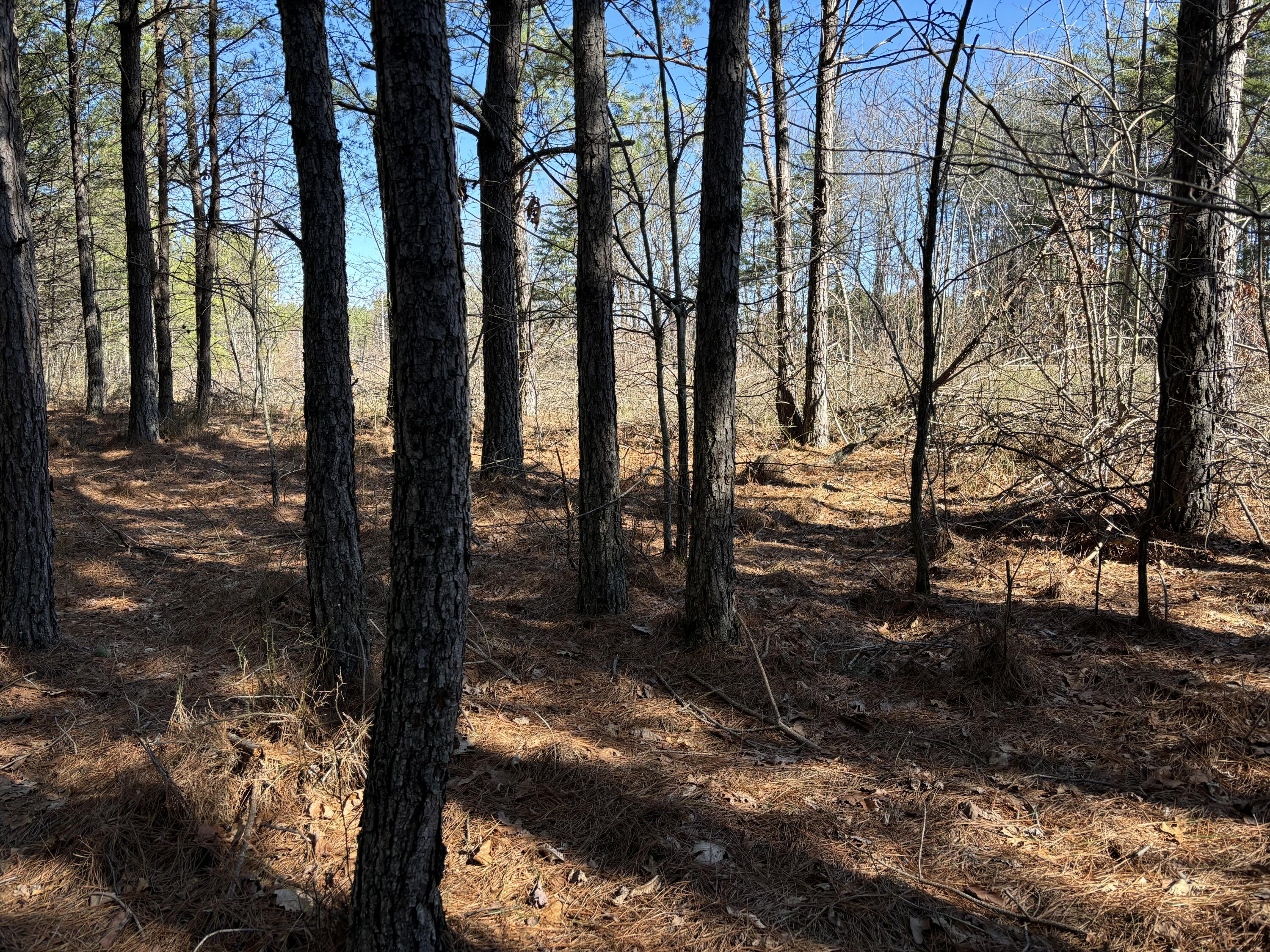 7 Fredonia Road, Dunlap, Tennessee image 1