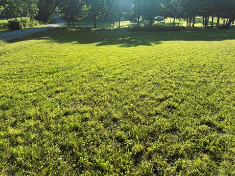 Photo of 00 County Road 571, Englewood, TN 37329 (MLS # 1536473)