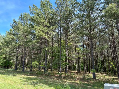 Photo of 250 Bear Trace Drive, Jasper, TN 37347 (MLS # 1391195)