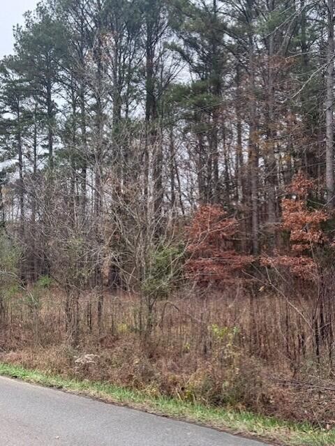 Photo of 0 Chestuee Road NE, Cleveland, TN 37323 (MLS # 1527633)