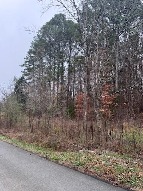 Tiny photo for 0 Chestuee Road NE, Cleveland, TN 37323 (MLS # 1527633)