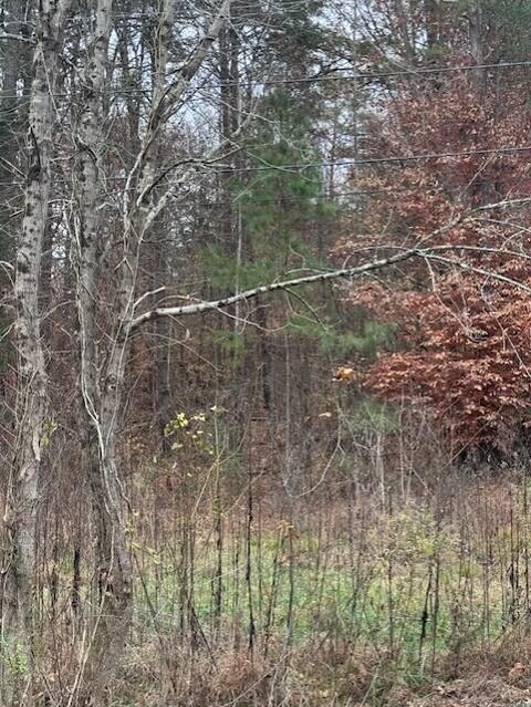 Tiny photo for 0 Chestuee Road NE, Cleveland, TN 37323 (MLS # 1527633)