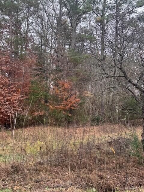 Tiny photo for 0 Chestuee Road NE, Cleveland, TN 37323 (MLS # 1527633)