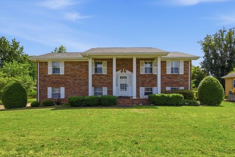 Photo of 6710 Larkwood Lane, Chattanooga, TN 37421 (MLS # 1533416)