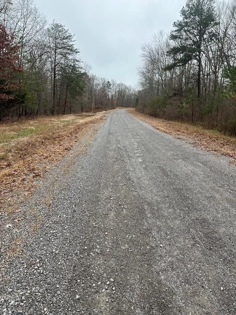 Tiny photo for 2080 Teludachee Trail, South Pittsburg, TN 37380 (MLS # 1527613)