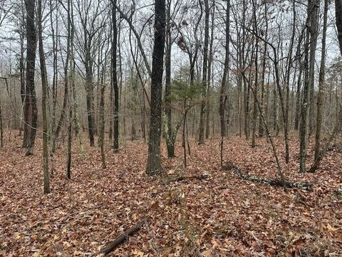 Tiny photo for 2080 Teludachee Trail, South Pittsburg, TN 37380 (MLS # 1527613)