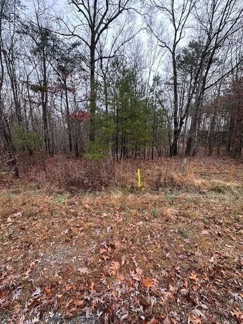 Tiny photo for 2080 Teludachee Trail, South Pittsburg, TN 37380 (MLS # 1527613)