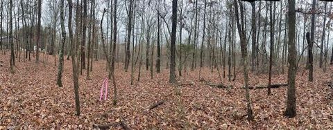 Tiny photo for 2080 Teludachee Trail, South Pittsburg, TN 37380 (MLS # 1527613)